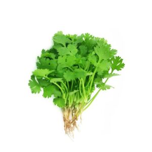 Coriander/Cilantro