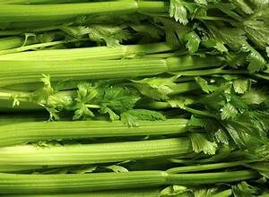 Celery