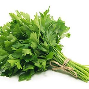 Parsely