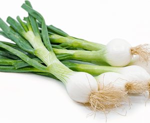Spring Onions (per bunch)